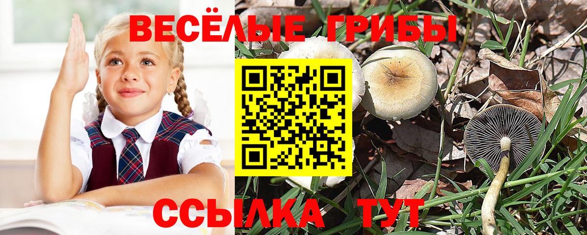 Новороссийск  Галлюциногенные грибы мухоморы  Вход с VPN 