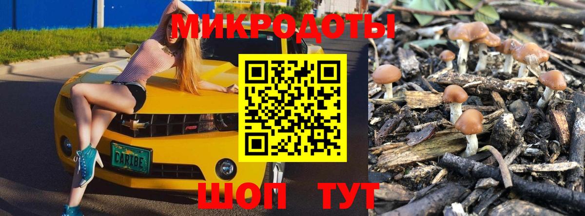 Галлюциногенные грибы Cubensis Новороссийск