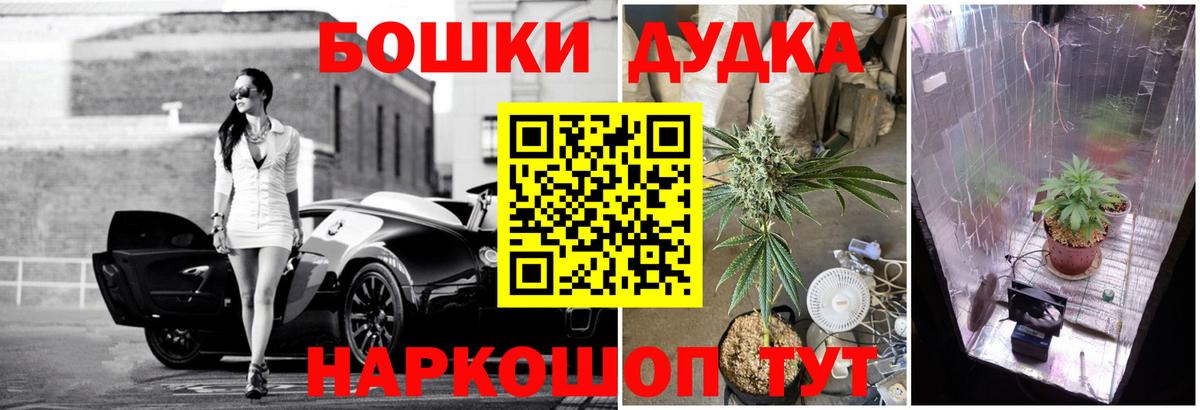 Каннабис план  Шишки марихуана план  Новороссийск  Вход с VPN 